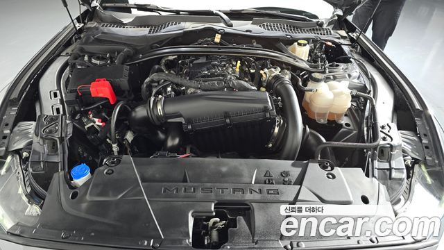 Ford Mustang (VII) 2.3 EcoBoost Premium Coupe 2024 — фото 6