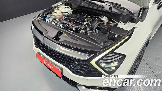 Kia Sportage (V) Gasoline 1.6 Turbo 2WD Signature 2022 — фото 6