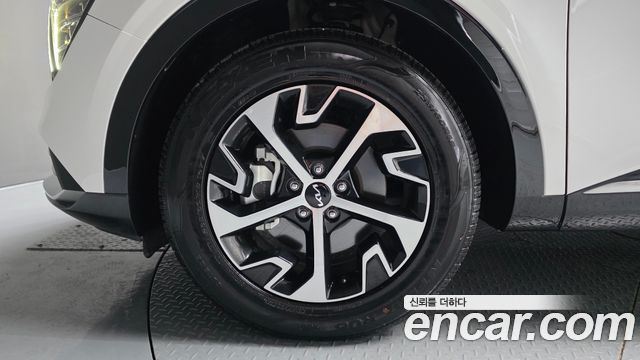 Kia Sportage Hybrid (V) Nobleless 2WD 2024 — фото 5
