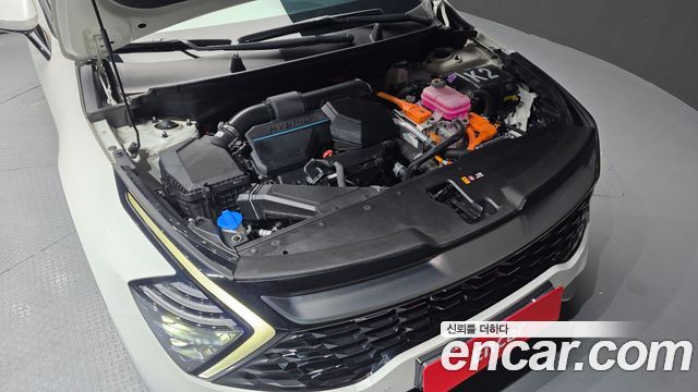 Kia Sportage Hybrid (V) Nobleless 2WD 2024 — фото 6