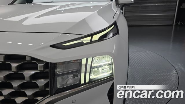 Hyundai Santa Fe Diesel 2.2 4WD Exclusive 2022 — фото 28