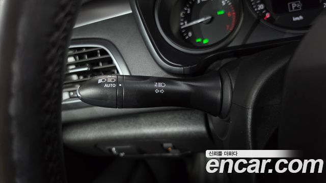 Renault Korea SM6 2.0 LPe SE (Disabled) 2019 — фото 20