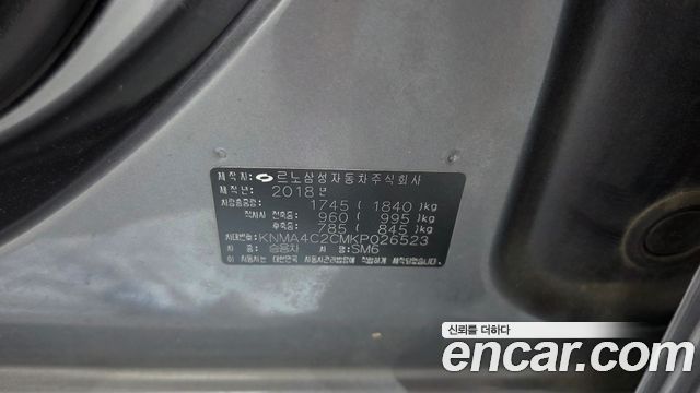 Renault Korea SM6 2.0 LPe SE (Disabled) 2019 — фото 28