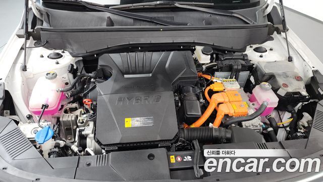 Hyundai Kona Hybrid (SX2) Premium 2023 — фото 6