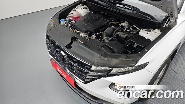 Hyundai Tucson (NX4) Diesel 2.0 2WD Modern 2022 — фото 6