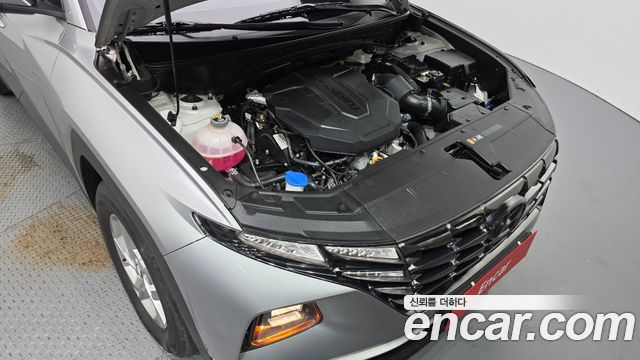 Hyundai Tucson (NX4) Diesel 2.0 2WD Modern 2023 — фото 6