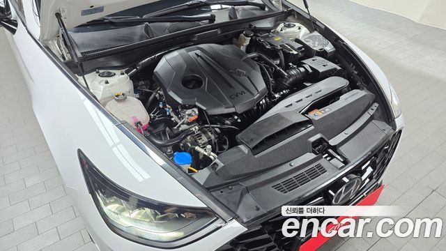 Hyundai Sonata (DN8) 2.0 Premium Plus 2023 — фото 6
