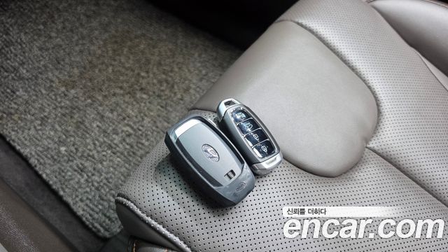 Hyundai Santa Fe (TM) Gasoline 2.0T 2WD Exclusive Special 2019 — фото 15