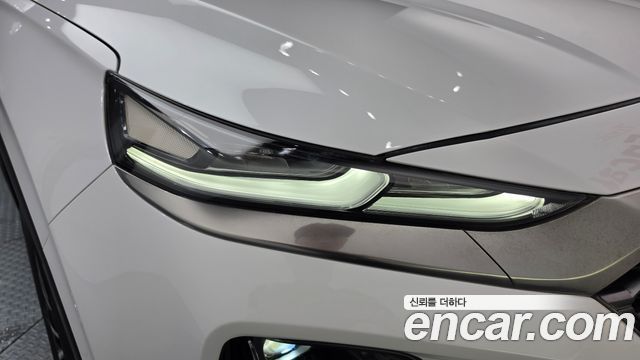 Hyundai Santa Fe (TM) Gasoline 2.0T 2WD Exclusive Special 2019 — фото 22