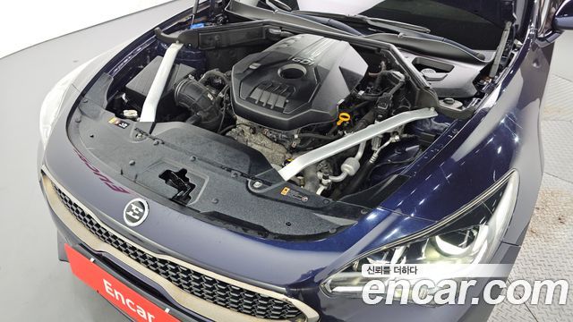 Kia Stinger 2.0 Turbo AWD Platinum 2019 — фото 6