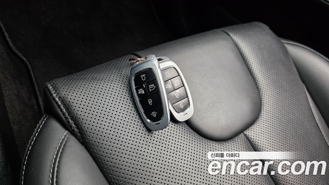 Hyundai Santa Fe Diesel 2.2 2WD Premium 2021 — фото 17