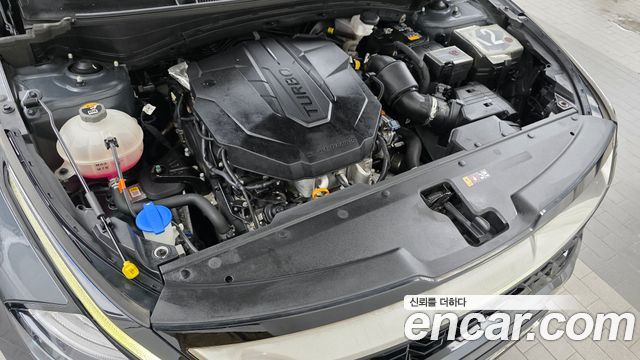 Kia Sportage (V) Diesel 2.0 2WD Nobleless 2023 — фото 6