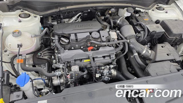 Kia Sportage (V) Gasoline 1.6 Turbo 2WD Signature 2025 — фото 6