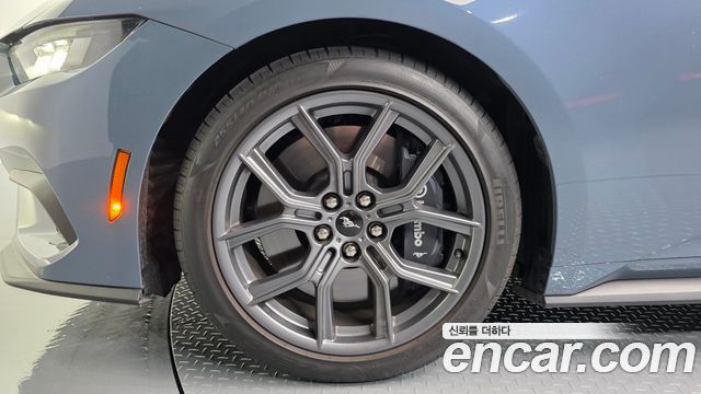 Ford Mustang (VII) 2.3 Ecoboost Premium Convertible 2024 — фото 5