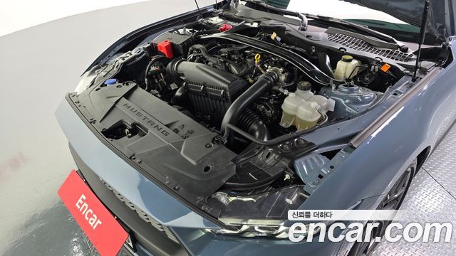 Ford Mustang (VII) 2.3 Ecoboost Premium Convertible 2024 — фото 6