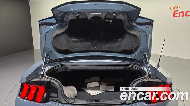Ford Mustang (VII) 2.3 Ecoboost Premium Convertible 2024 — фото 31
