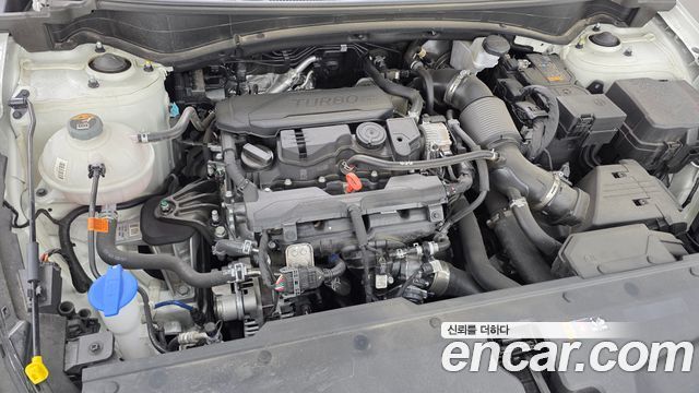 Kia Sportage (V) Gasoline 1.6 Turbo 2WD Signature 2025 — фото 6
