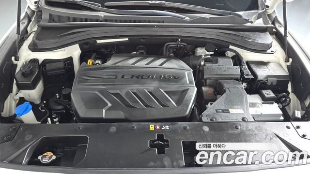 Hyundai Santa Fe (TM) Diesel 2.0 2WD Exclusive 2020 — фото 6