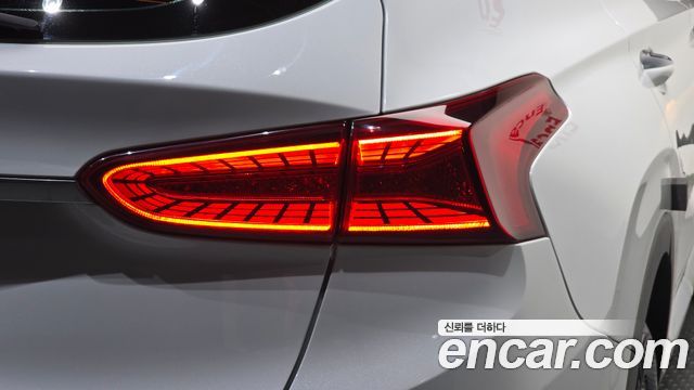 Hyundai Santa Fe (TM) Diesel 2.0 2WD Exclusive 2020 — фото 23