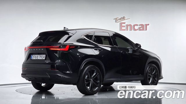 Lexus NX350h (II) Premium 2025 — фото 2