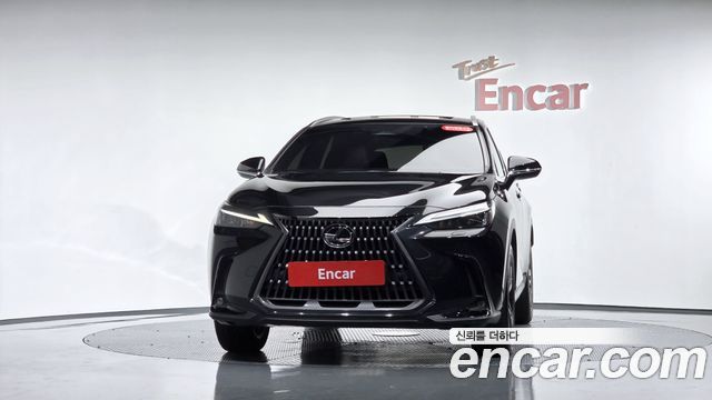Lexus NX350h (II) Premium 2025 — фото 3