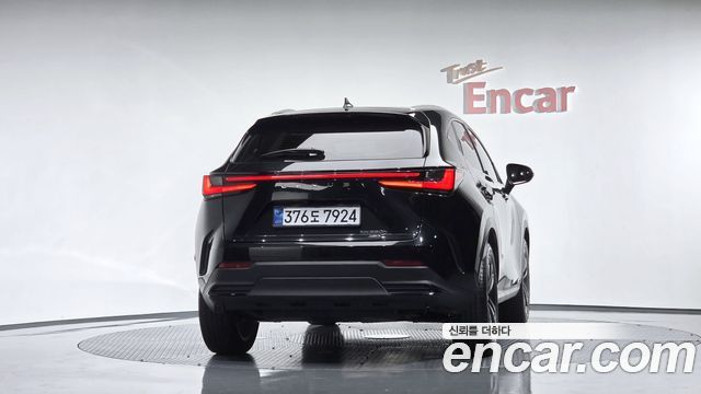 Lexus NX350h (II) Premium 2025 — фото 4