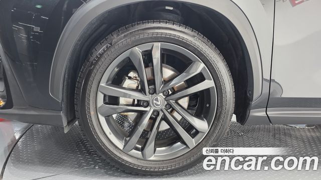 Lexus NX350h (II) Premium 2025 — фото 5