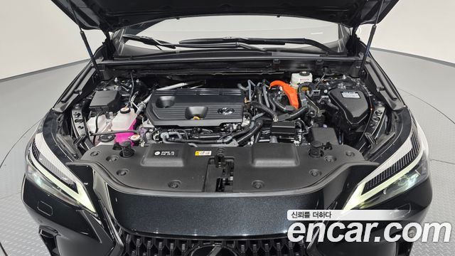 Lexus NX350h (II) Premium 2025 — фото 6