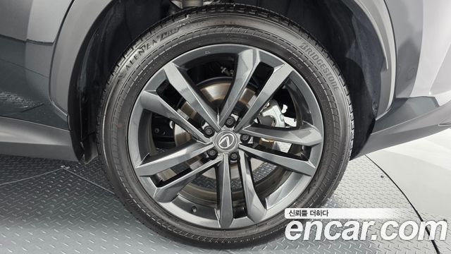 Lexus NX350h (II) Premium 2025 — фото 21
