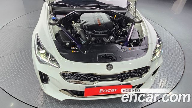 Kia Stinger Meister 3.3 GT AWD Masters Turbo Package 2021 — фото 6