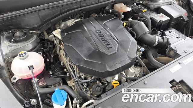 Kia Sorento (IV) Diesel 2.2 4WD Noblesse 2024 — фото 6