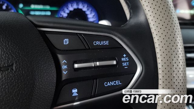 Hyundai Palisade Gasoline 3.8 2WD Prestige 2020 — фото 16