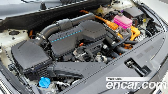 Kia Sportage Hybrid (V) Nobleless 2WD 2023 — фото 6