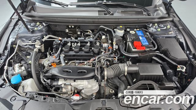 Honda Accord (XI) 1.5 Turbo 2023 — фото 6