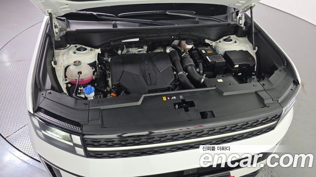 Hyundai Santa Fe (MX5) Gasoline 2.5T 4WD Calligraphy 2024 — фото 6