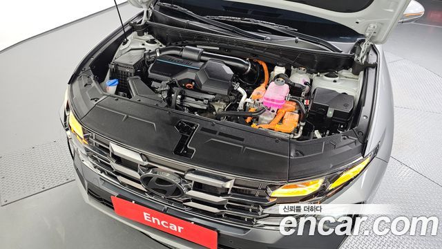 Hyundai Tucson Hybrid (NX4) HEV 1.6 4WD Premium 2024 — фото 6