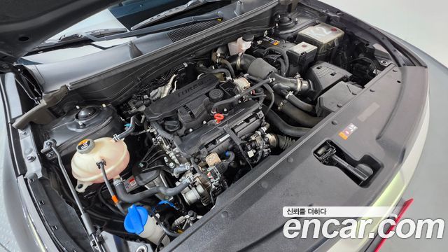 Kia Sportage (V) Gasoline 1.6 Turbo 2WD Nobleless 2022 — фото 6