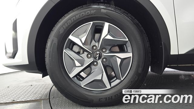 Kia Sorento (IV) HEV 1.6 2WD Noblesse 2023 — фото 5