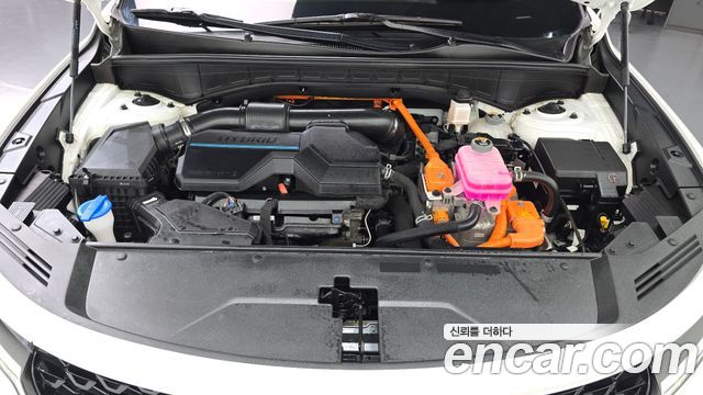 Kia Sorento (IV) HEV 1.6 2WD Noblesse 2023 — фото 6