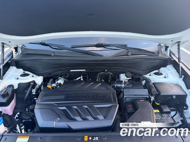 Hyundai Palisade Diesel 2.2 2WD Exclusive 2021 — фото 22