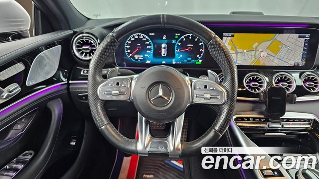 Mercedes-Benz AMG GT 4Door 43 4MATIC+ 2019 — фото 13