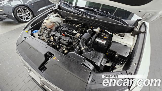 Hyundai Tucson (NX4) Gasoline 1.6 Turbo 2WD Premium 2024 — фото 6