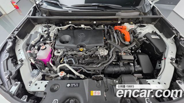 Toyota RAV4 (V) 2.5 4WD PHEV XSE 2025 — фото 6