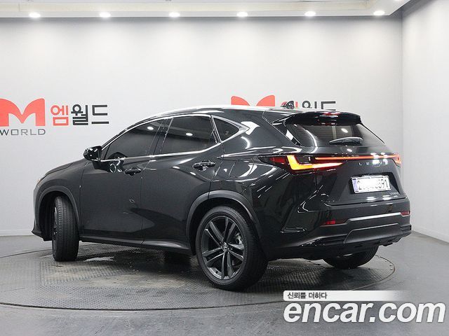 Lexus NX350h (II) Premium 2025 — фото 4