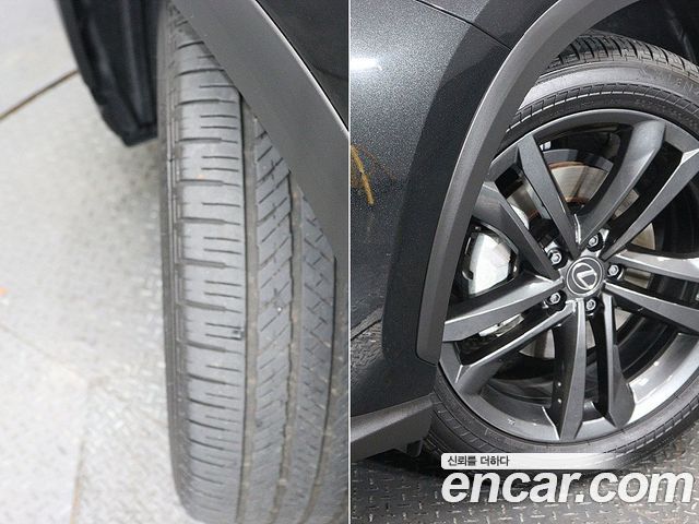 Lexus NX350h (II) Premium 2025 — фото 24