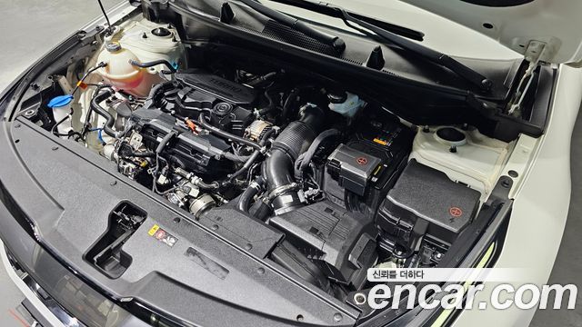 Kia Sportage (V) Gasoline 1.6 Turbo 2WD Signature 2024 — фото 6