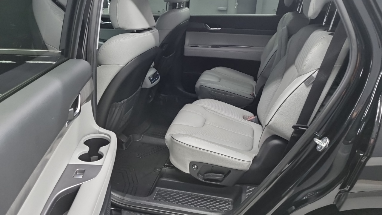 Hyundai Palisade Gasoline 3.8 2WD Le Blanc 2024 — фото 15