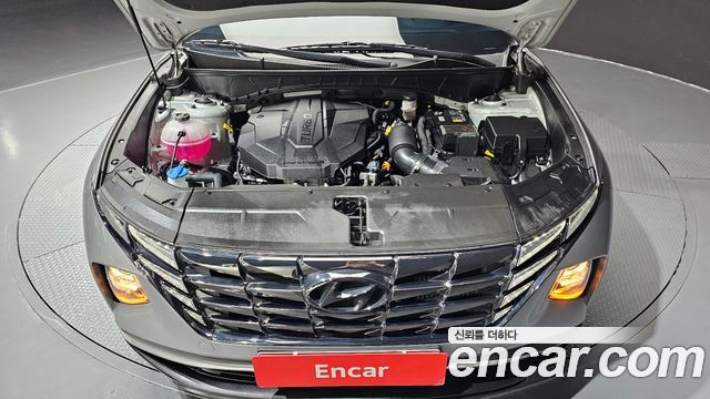 Hyundai Tucson (NX4) Diesel 2.0 2WD Modern 2023 — фото 6