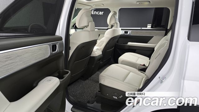 Hyundai Santa Fe (MX5) HEV 1.6 2WD Calligraphy 2024 — фото 15