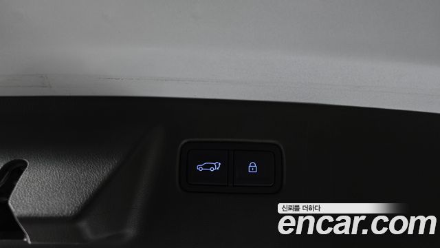 Hyundai Santa Fe (MX5) HEV 1.6 2WD Calligraphy 2024 — фото 20